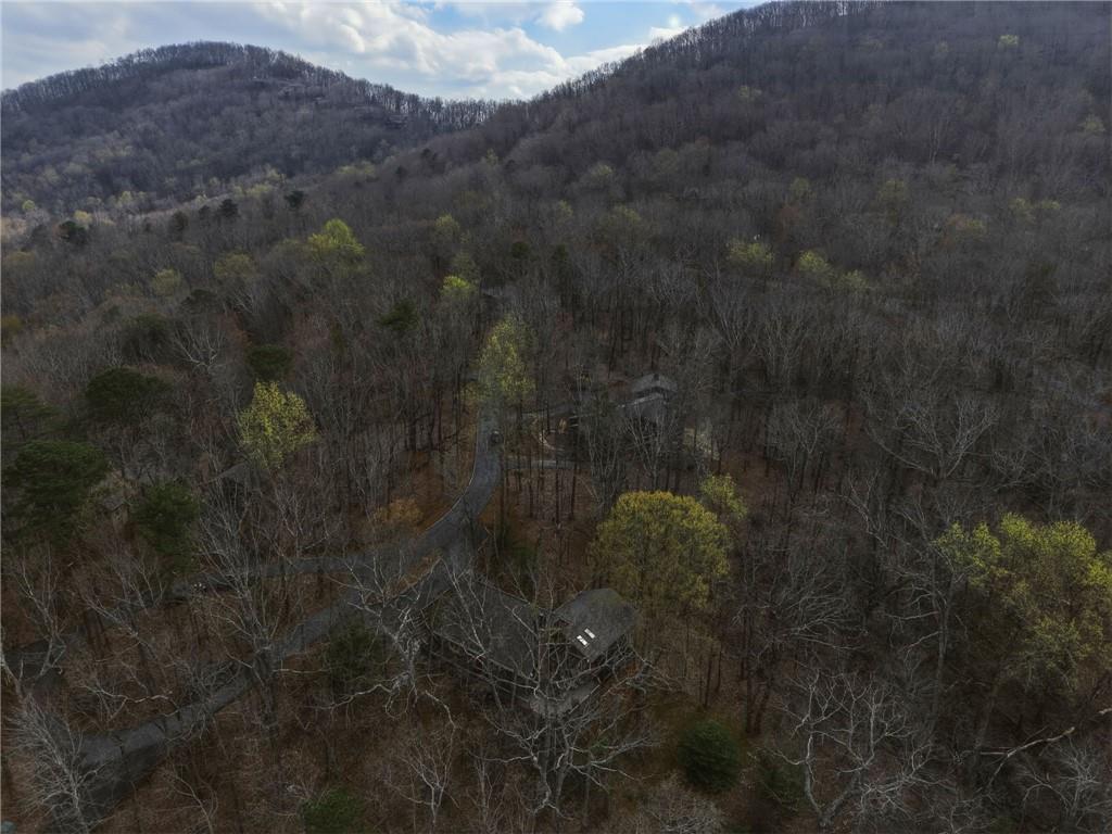 115 Chestnut Oak Point Big Canoe, GA 30143 - Photo 38 of 56