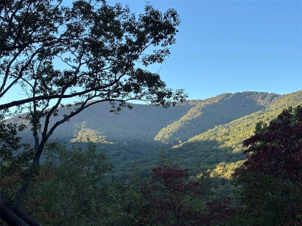 115 Chestnut Oak Point Big Canoe, GA 30143 - Photo 44 of 56