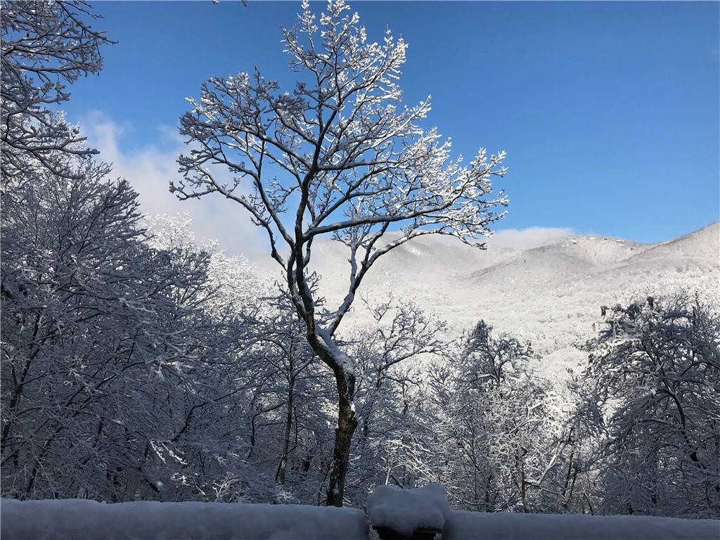 115 Chestnut Oak Point Big Canoe, GA 30143 - Photo 45 of 56 a view of mountain view with lots of trees