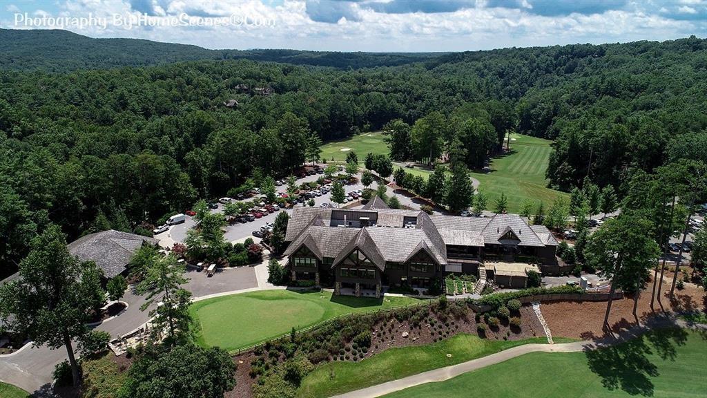 115 Chestnut Oak Point Big Canoe, GA 30143 - Photo 46 of 56 an aerial view of a house with garden space and street view