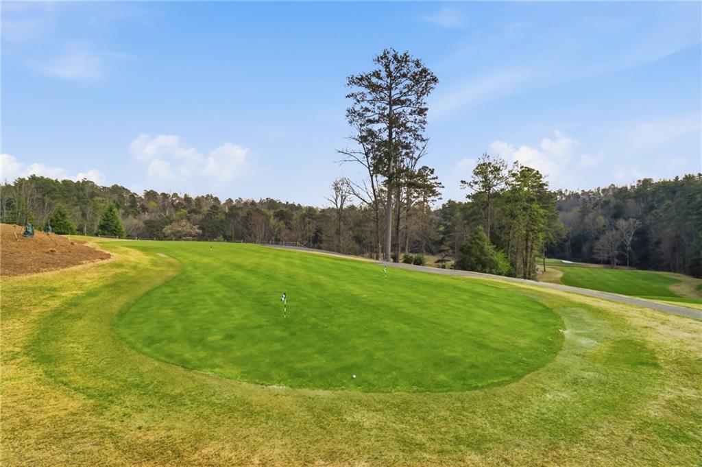 115 Chestnut Oak Point Big Canoe, GA 30143 - Photo 53 of 56 a view of a field with an ocean