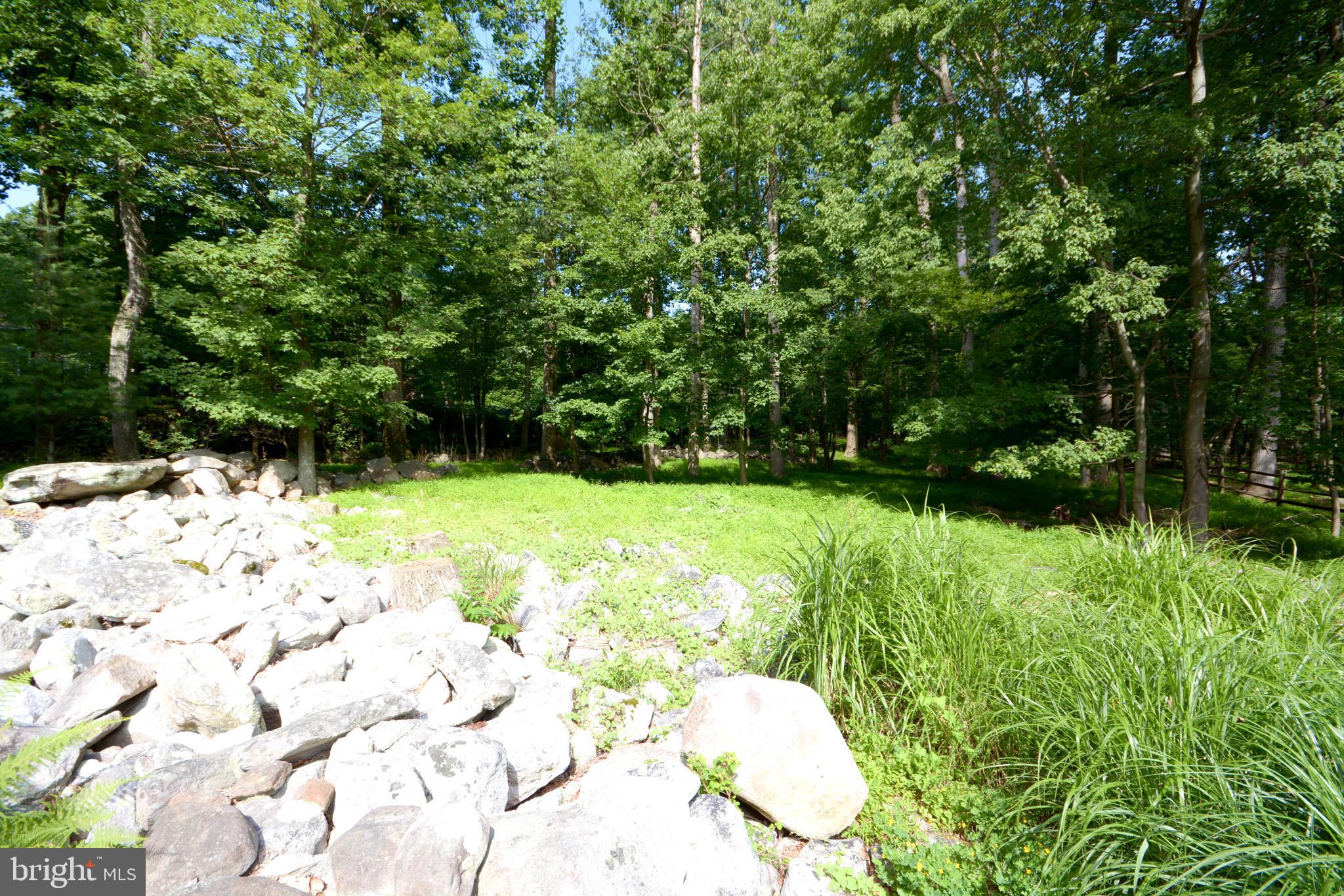 8812 Indian Springs Road Frederick, MD 21702 - Photo 48 of 51