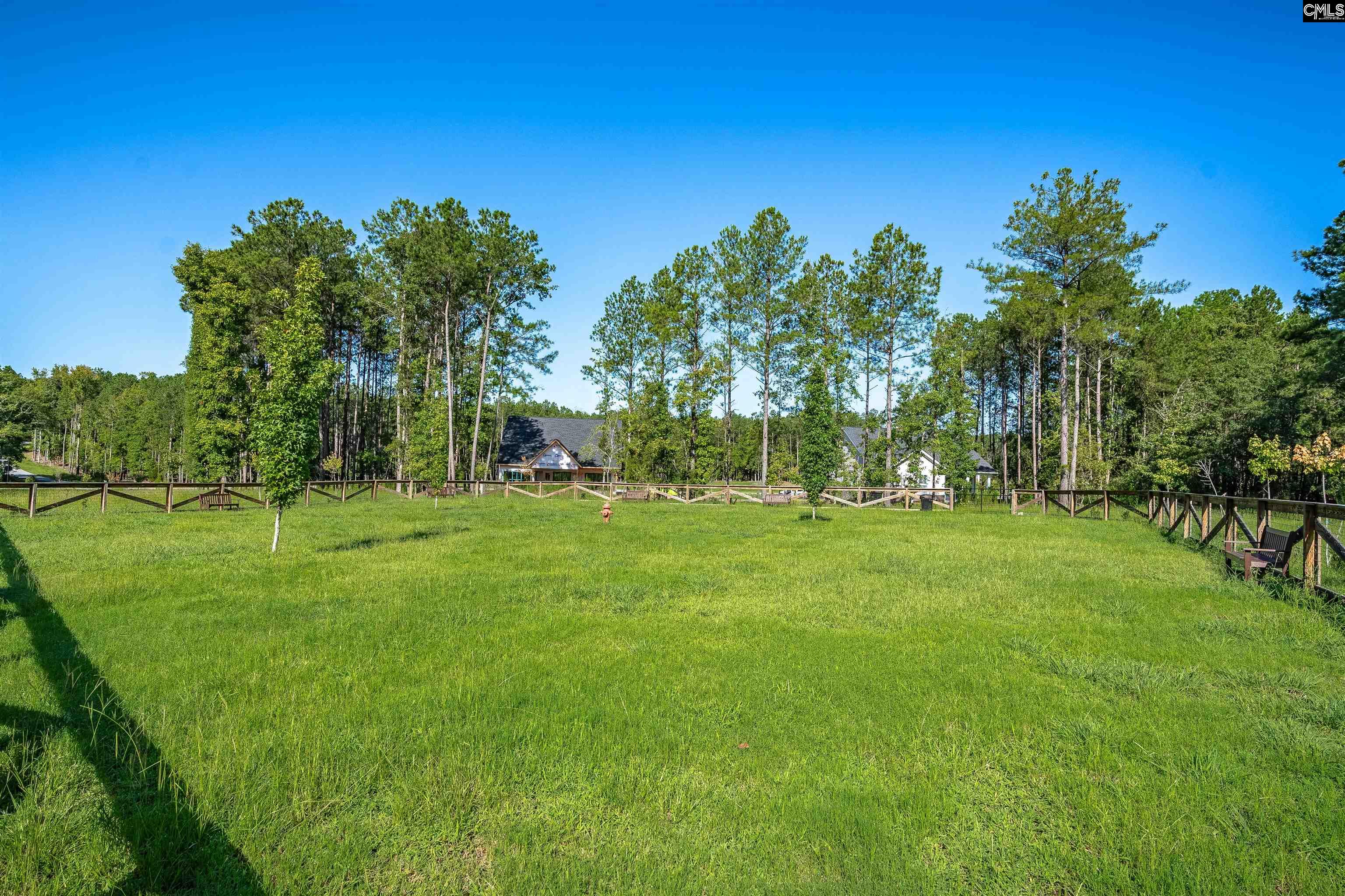 Lot 220 Granny Hill Road Prosperity, SC 29127 - Photo 17 of 19