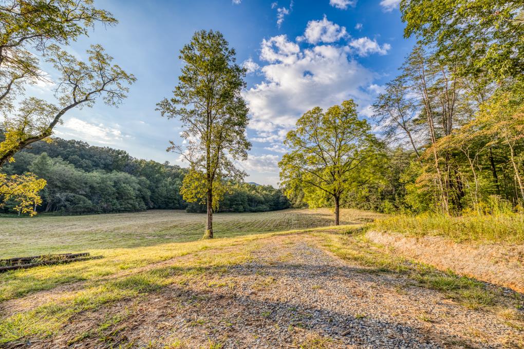 5664 Mobile Road Blue Ridge, GA 30513 - Photo 59 of 66