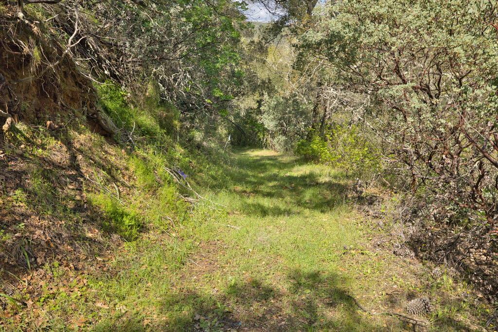 15805 Uvas Road Morgan Hill, CA 95037 - Photo 26 of 41 a view of a yard