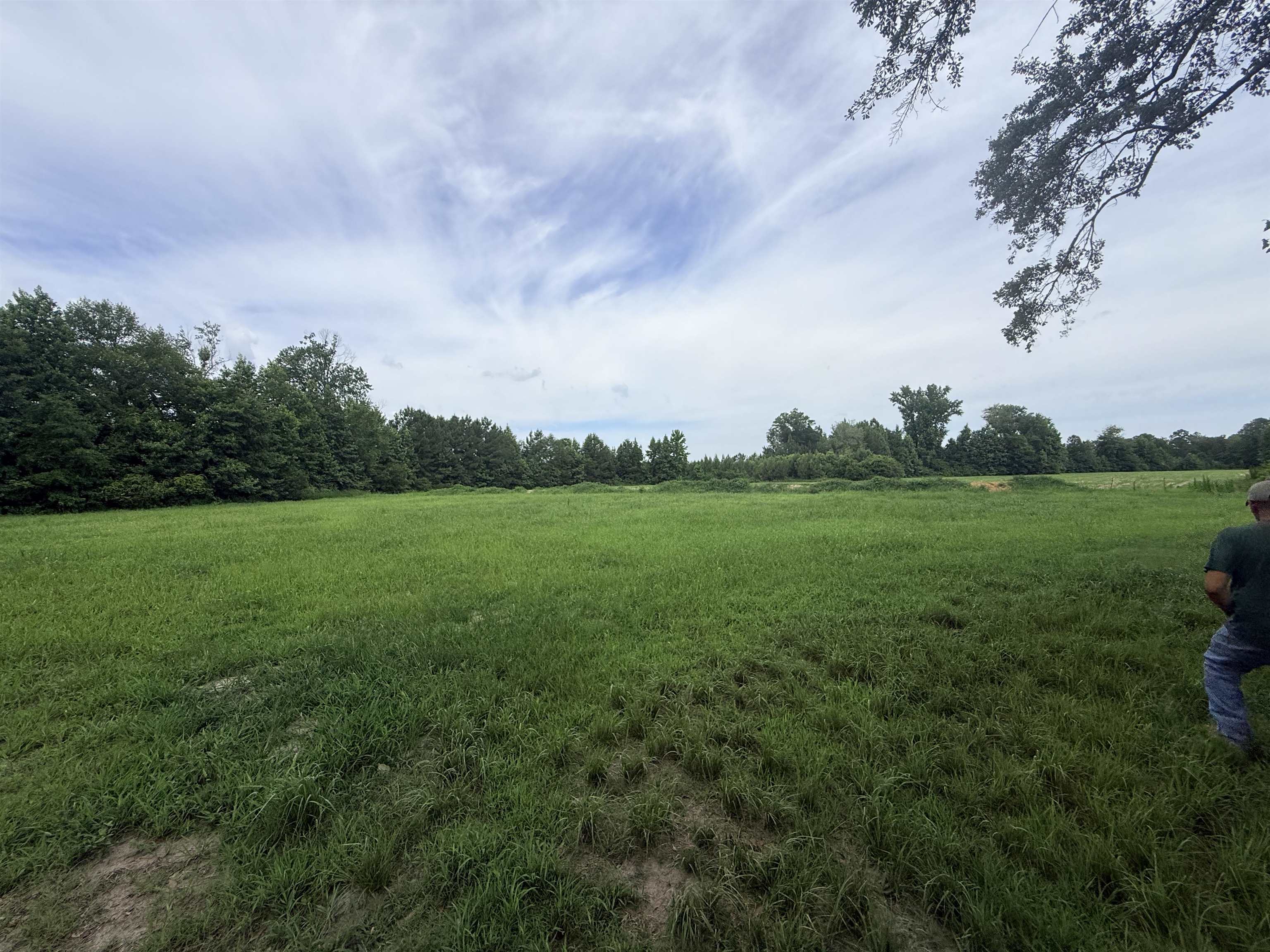 1991 Church Road Green Sea, SC 29545 - Photo 4 of 14