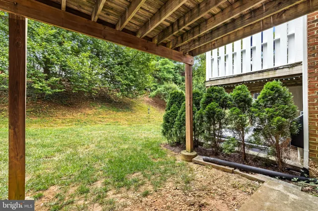 a view of a garden with a tree