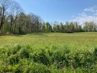 0 Warner Road Kennerdell, PA 16374 - Photo 5 of 13 a view of a field with an trees
