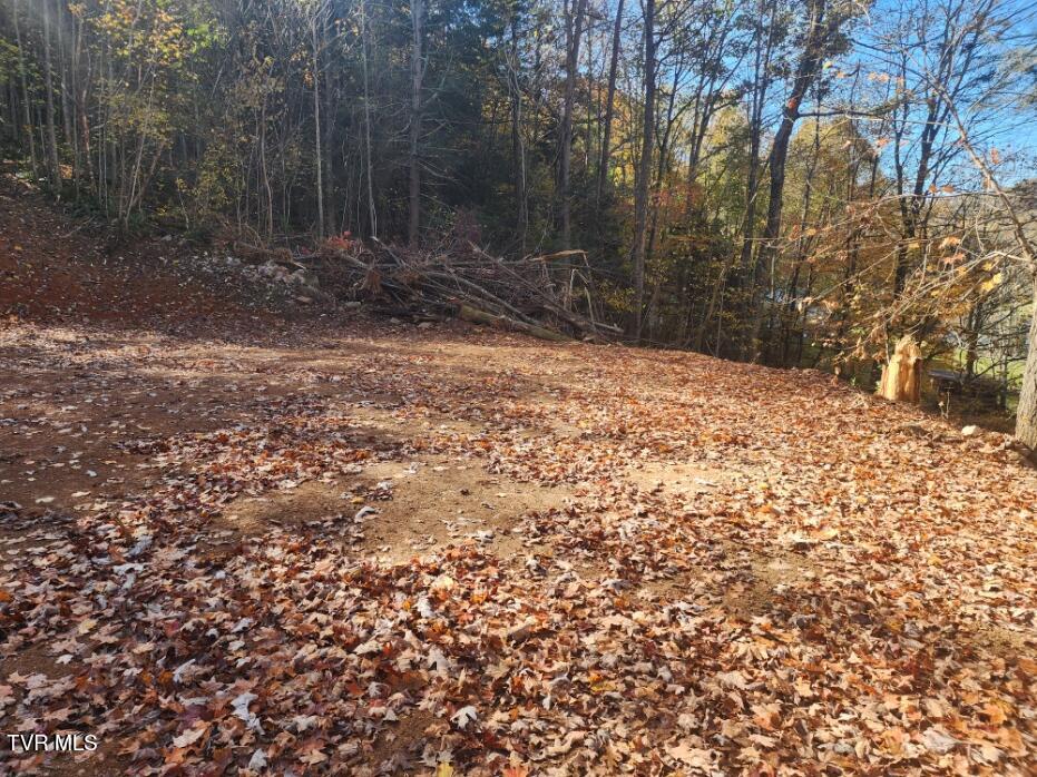 205 Roy Bowers Road Elizabethton, TN 37643 - Photo 12 of 19 20241029_114542