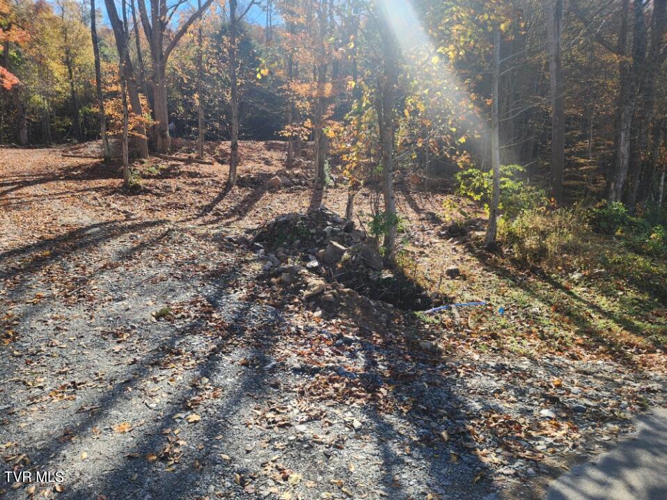 205 Roy Bowers Road Elizabethton, TN 37643 - Photo 3 of 19 20241029_114305