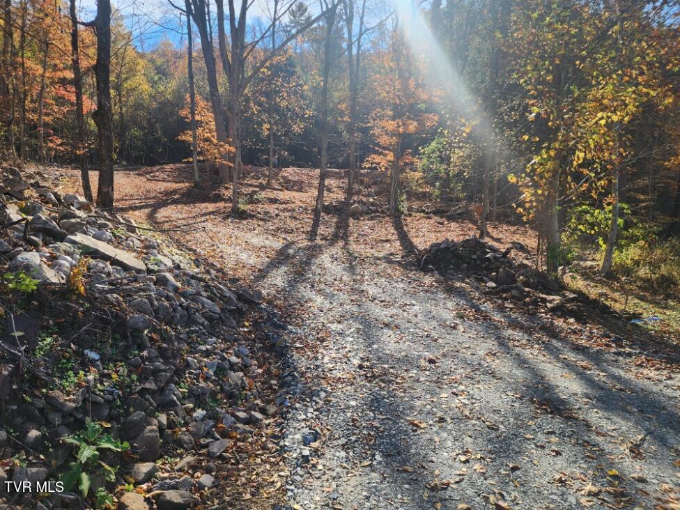 205 Roy Bowers Road Elizabethton, TN 37643 - Photo 8 of 19 20241029_114344