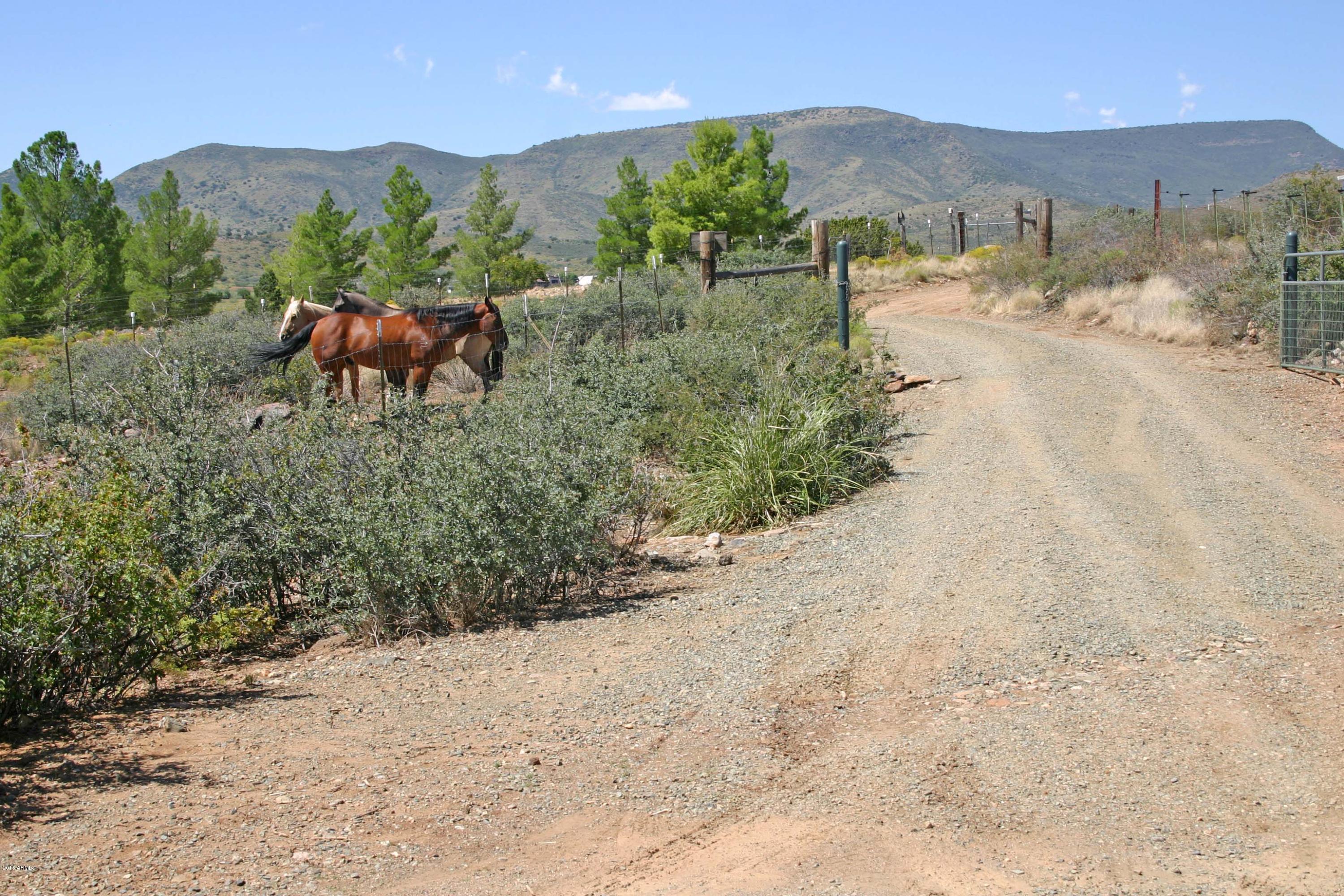 11390 South Hackberry Road Mayer, AZ 86333 - Photo 4 of 61 Rodriguez101DrivewaytoMtnViewsHorses