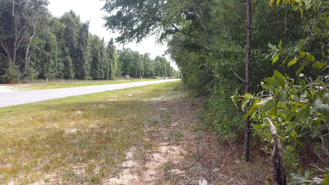 1.27-ac Wilkerson Bluff Road Holt, FL 32564 - Photo 14 of 17 Gallery Image 14