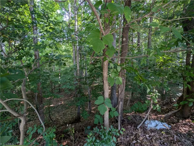 $27,000 | 210 Birchwood Lane, Mocksville, NC 27028