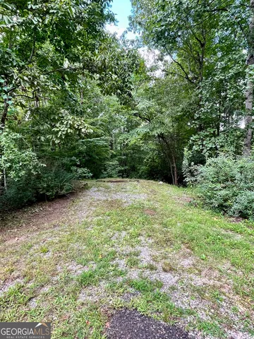 a view of outdoor space and yard
