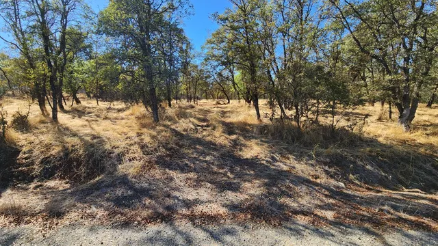 a view of snow covered with trees