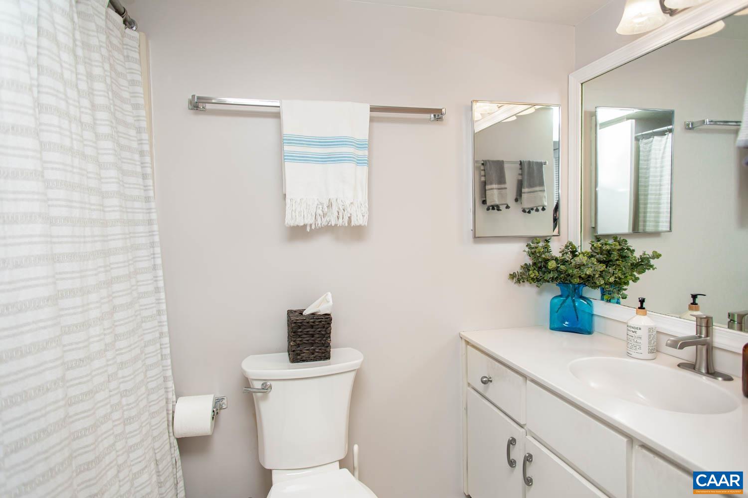 212 Turkey Ridge Road Charlottesville, VA 22903 - Photo 14 of 57 Gallery Image 14
