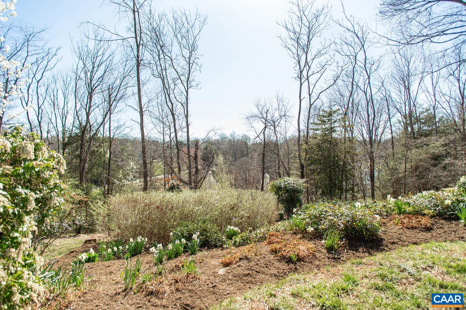 212 Turkey Ridge Road Charlottesville, VA 22903 - Photo 49 of 57 Gallery Image 49