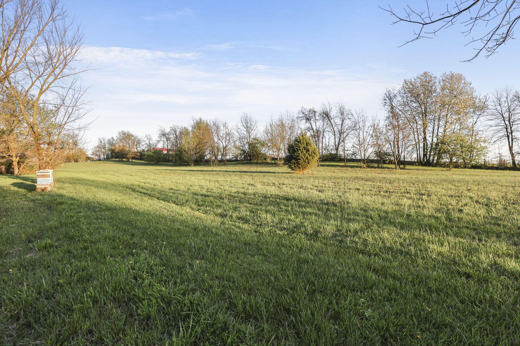 6164 Heigle Road Southwest Amanda, OH 43102 - Photo 18 of 43 13-web-or-mls-939A0203