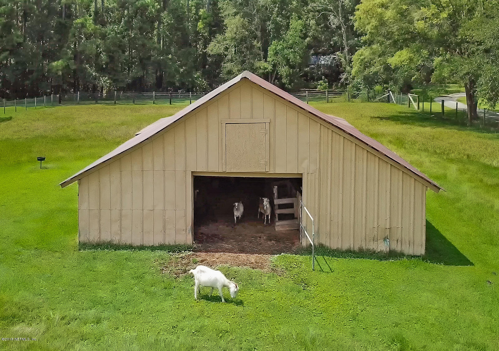 4819 Lannie Road Jacksonville, FL 32218 - Photo 35 of 50 35 livestock barn