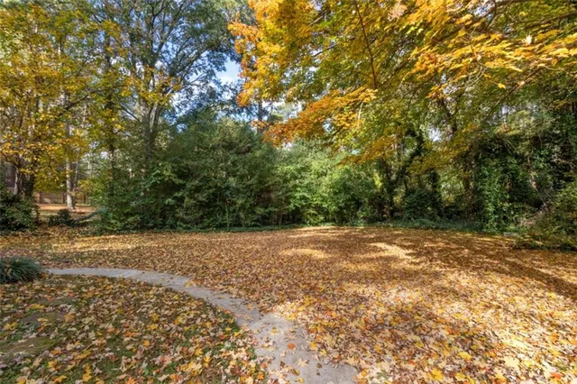 a view of a yard with a tree