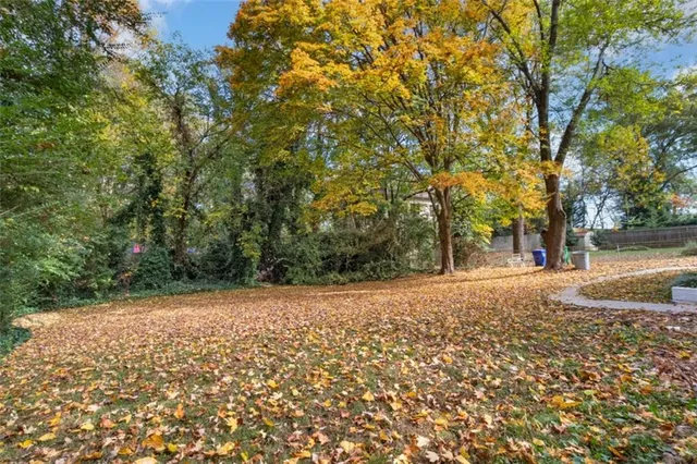 a view of a yard with a tree