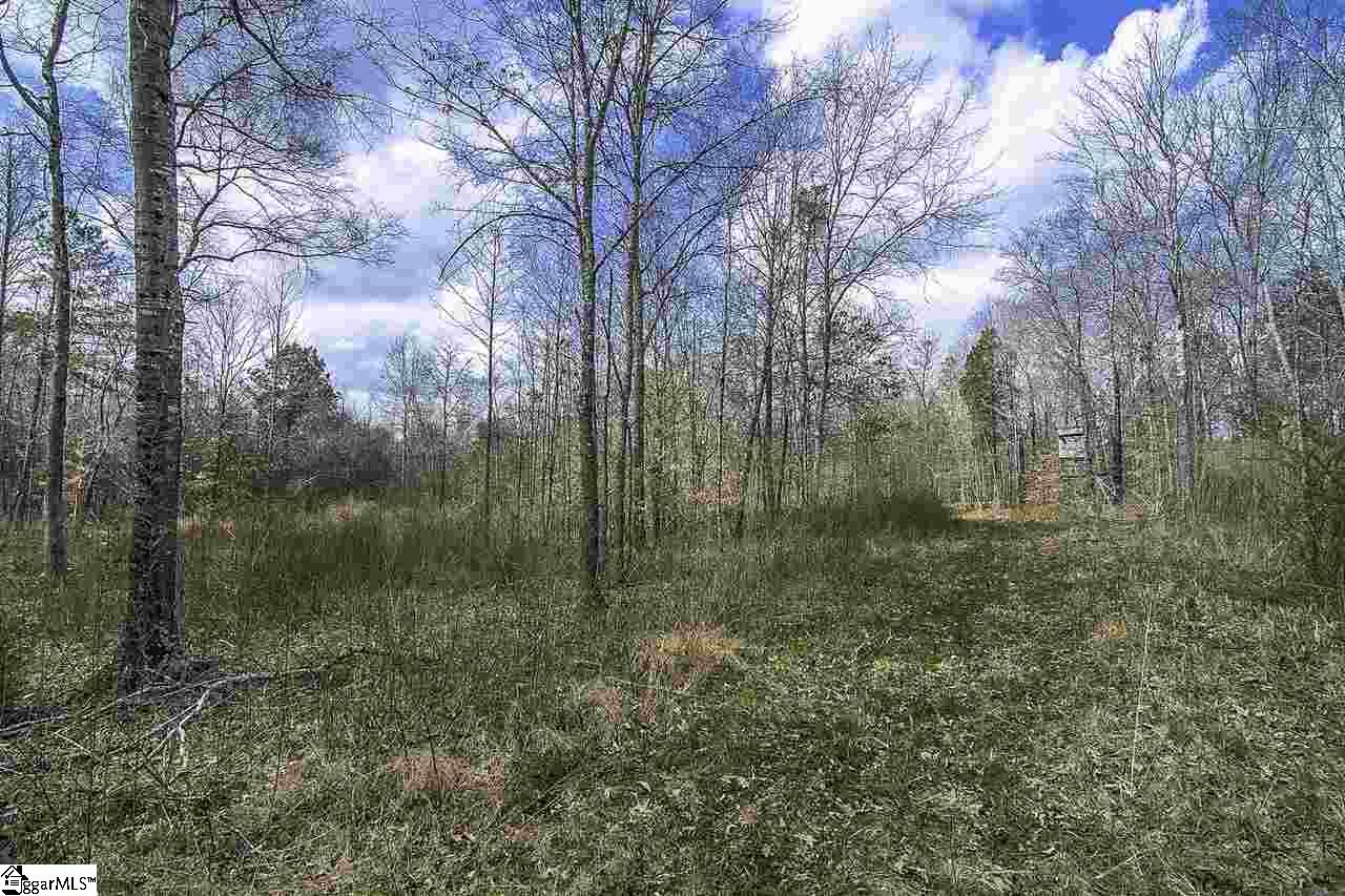 104 South Moore Road Fountain Inn, SC 29644 - Photo 18 of 23