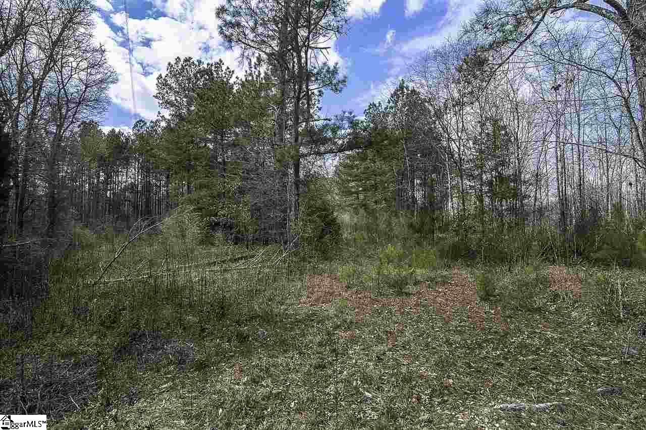 104 South Moore Road Fountain Inn, SC 29644 - Photo 23 of 23