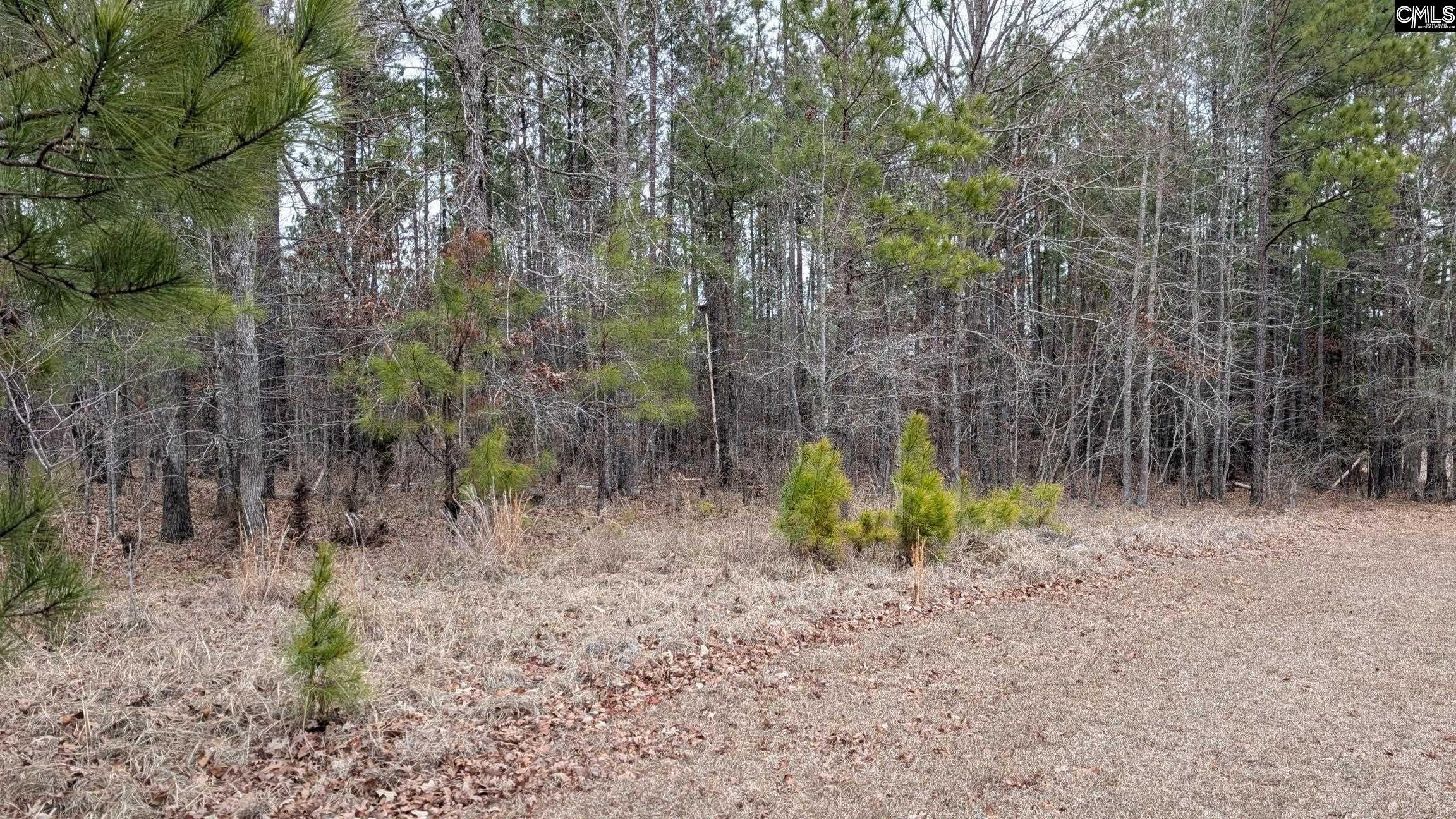 Lot 3 Retreat Way Ridgeway, SC 29130 - Photo 4 of 23 Gallery Image 4