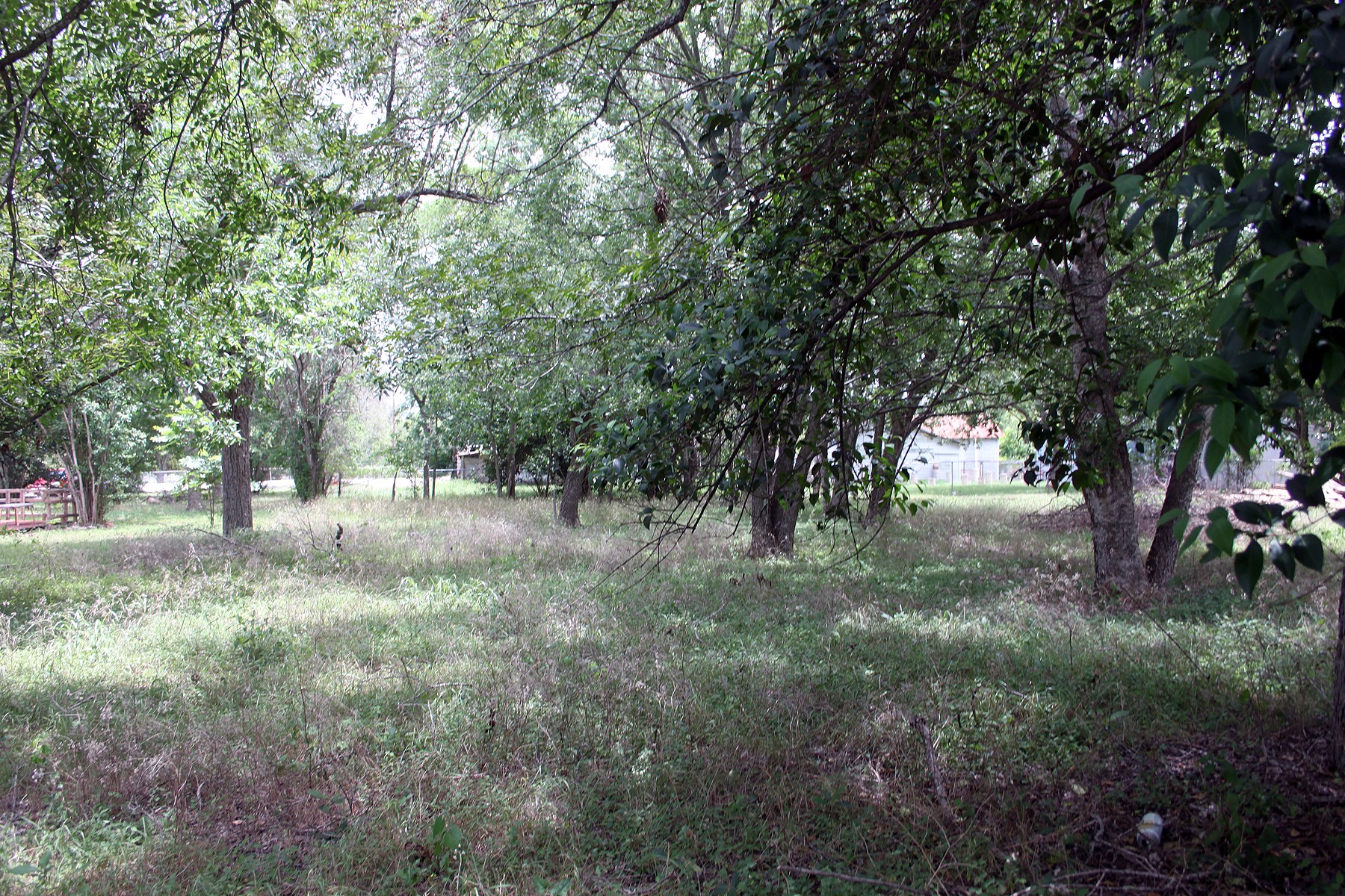 0 Laredo Street South Lockhart, TX 78644 - Photo 1 of 1 View of yard