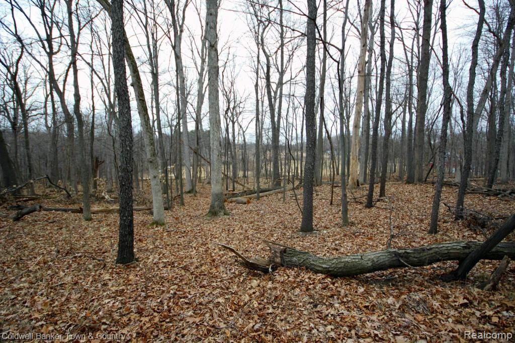 1 Shagbark Rochester, MI 48309 - Photo 16 of 17