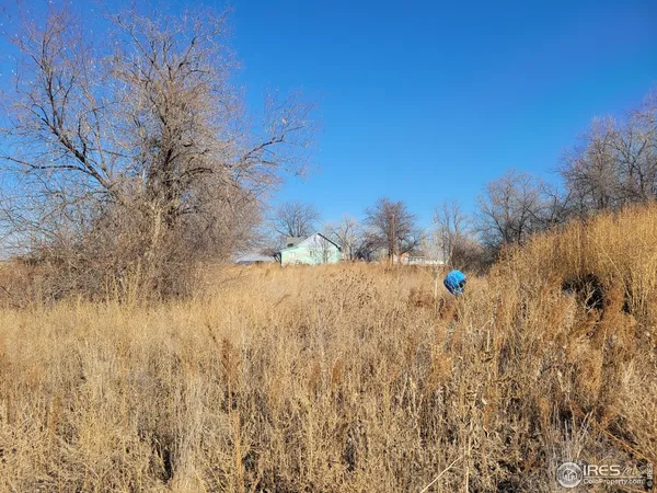 a view of a dry yard