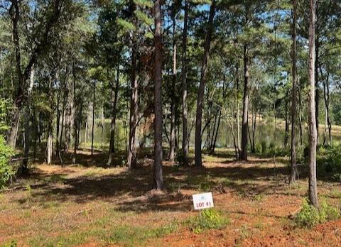 17778 Portside Court Tyler, TX 75708 - Photo 2 of 7 a view of road with trees