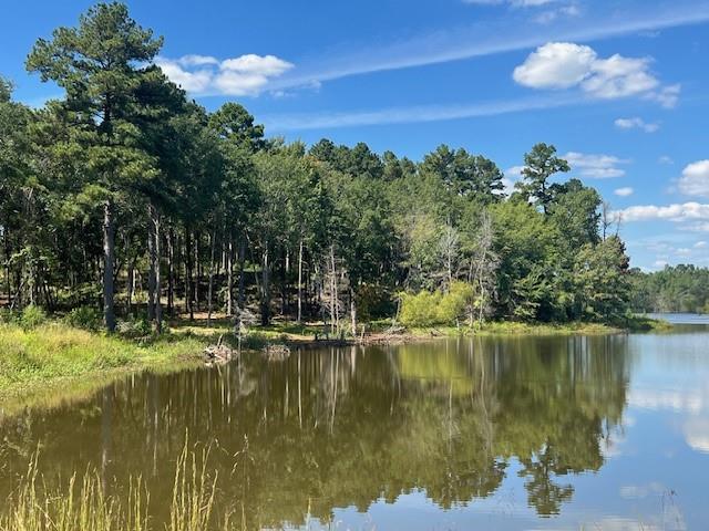 17778 Portside Court Tyler, TX 75708 - Photo 3 of 7 a view of a lake with a mountain in the background