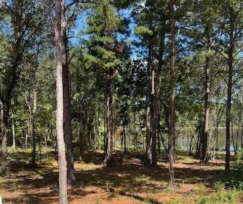 a view of a tree in the middle of a yard