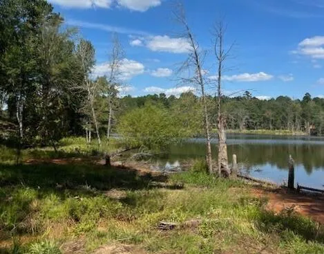 a view of a lake with a yard