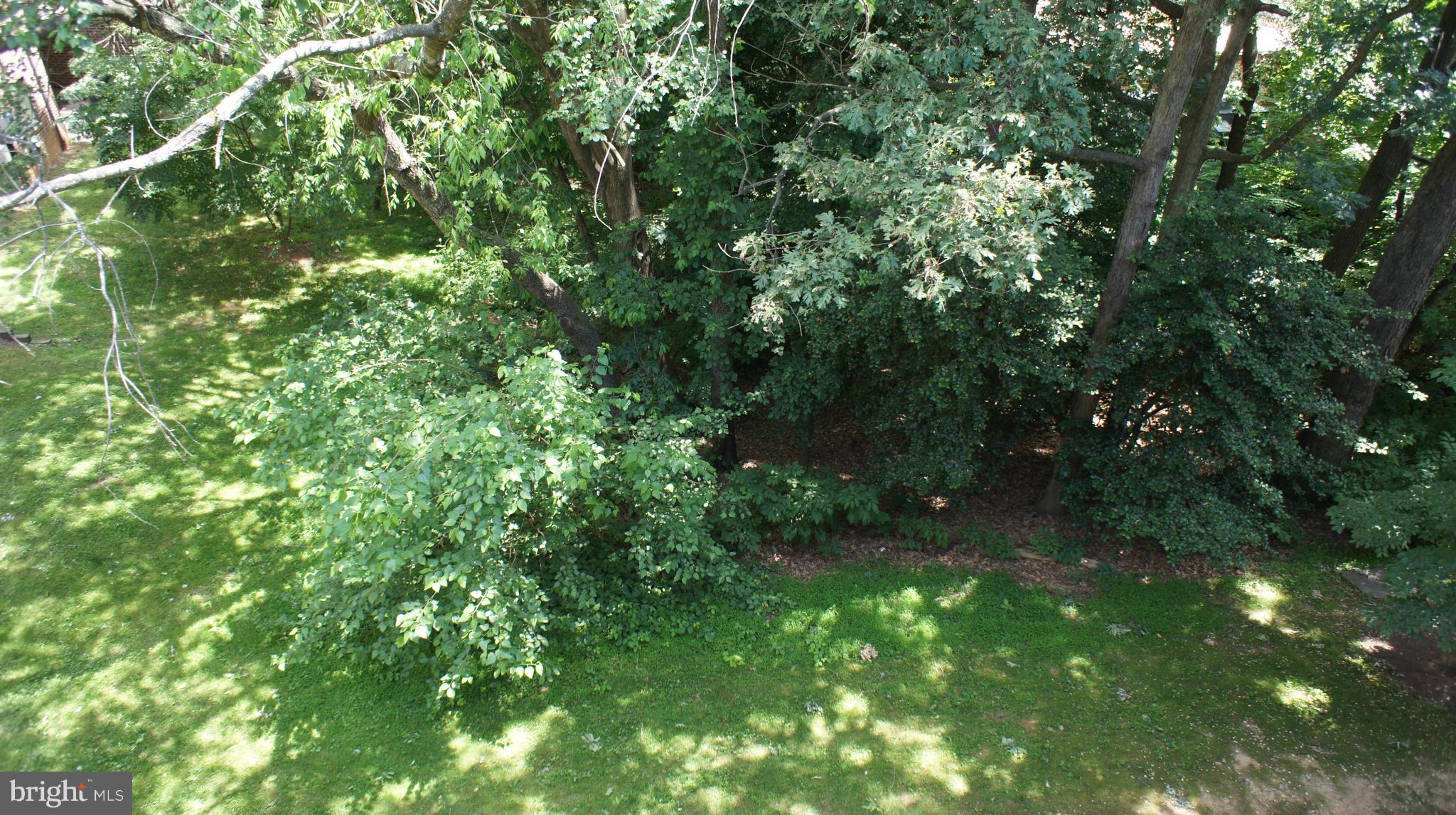 1405 Northgate Square, Unit 32B Reston, VA 20190 - Photo 18 of 18 View