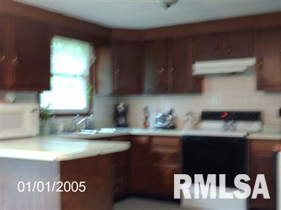 19310 Acker Road Fulton, IL 61252 - Photo 6 of 10