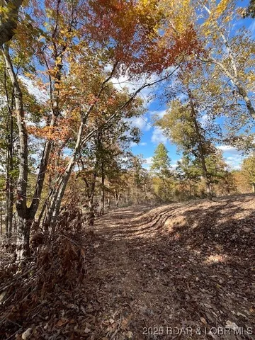 $3,589,900 | 26450 Eagle Point Road, Unit 1415 47' LAKEFRONT, Barnett, MO 65011