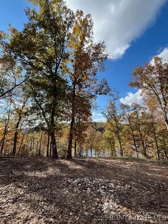 $3,589,900 | 26450 Eagle Point Road, Unit 1415 47' LAKEFRONT, Barnett, MO 65011