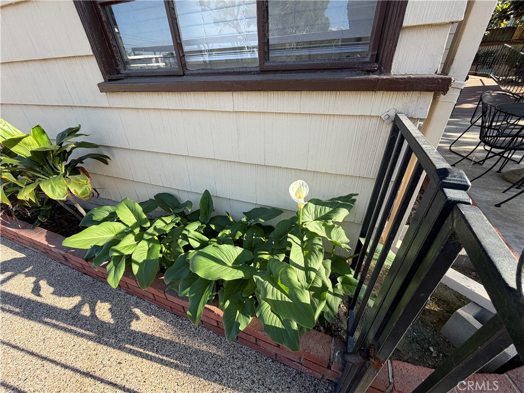 3590 Buchanan Street Riverside, CA 92503 - Photo 49 of 73 a plant with window