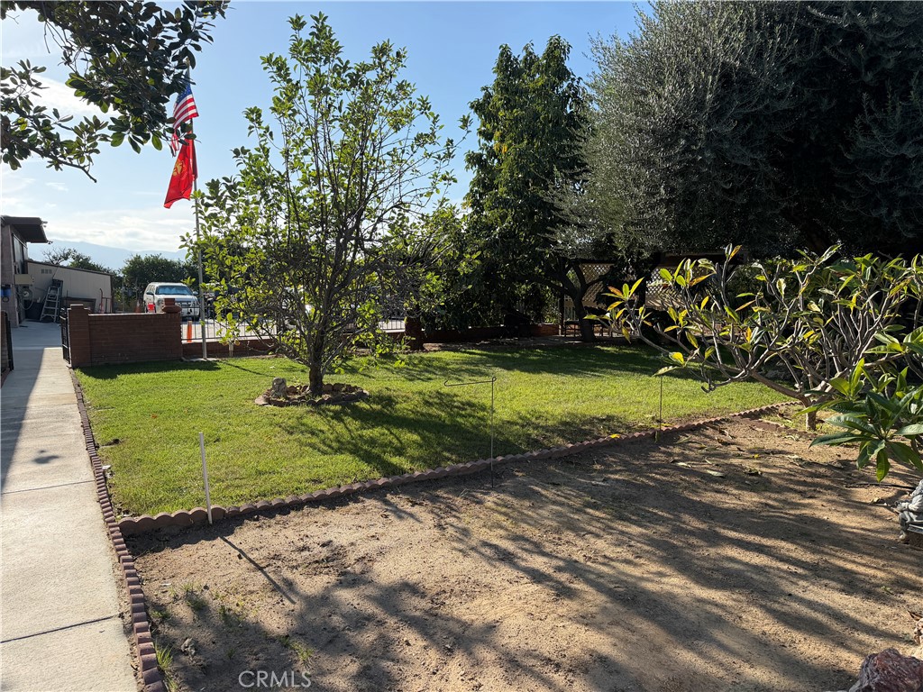 3590 Buchanan Street Riverside, CA 92503 - Photo 65 of 73 a view of a park with large trees