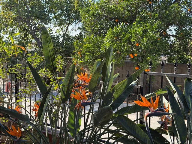 $3,700 | 3590 Buchanan Street, Riverside, CA 92503