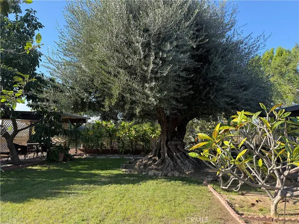 $3,500 | 3590 Buchanan Street, Riverside, CA 92503