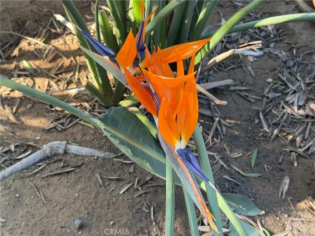 $3,700 | 3590 Buchanan Street, Riverside, CA 92503