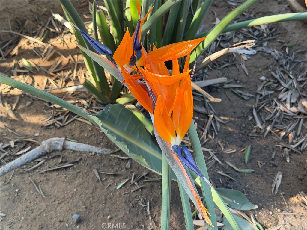 3590 Buchanan Street Riverside, CA 92503 - Photo 69 of 73