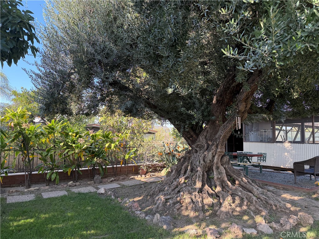 3590 Buchanan Street Riverside, CA 92503 - Photo 71 of 73 a view of outdoor space with garden