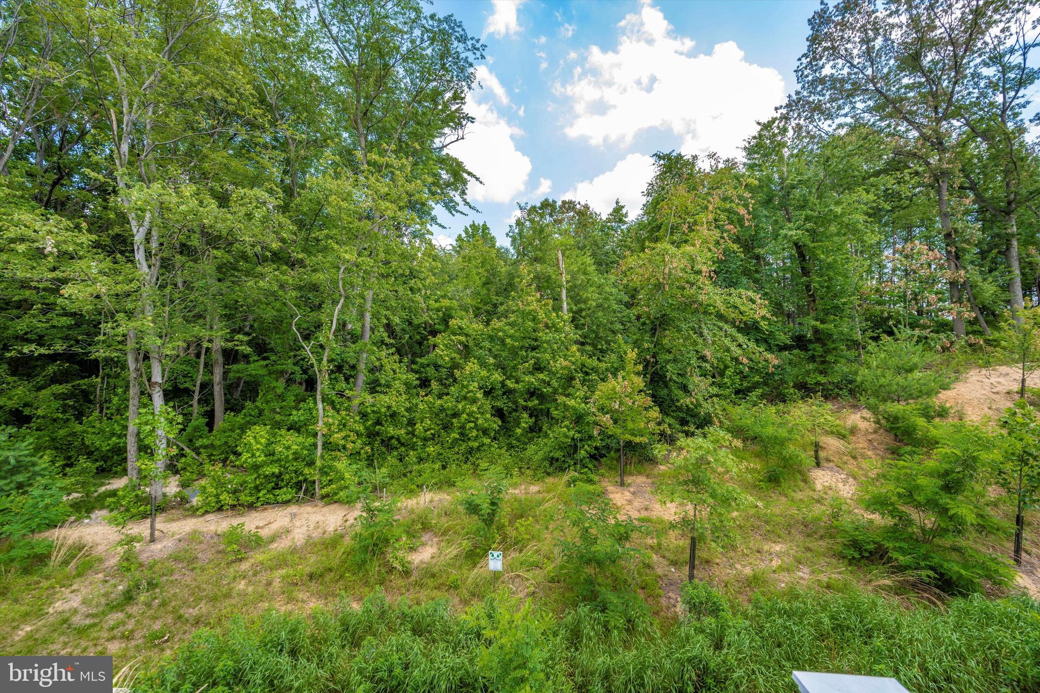 7932 Patterson Way Hanover, MD 21076 - Photo 43 of 49 Gallery Image 43