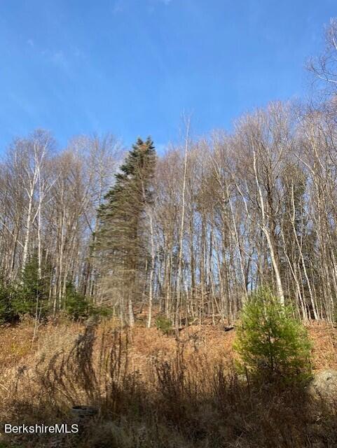 85 N Road Monroe, MA 01247 - Photo 2 of 11 a view of outdoor space and yard