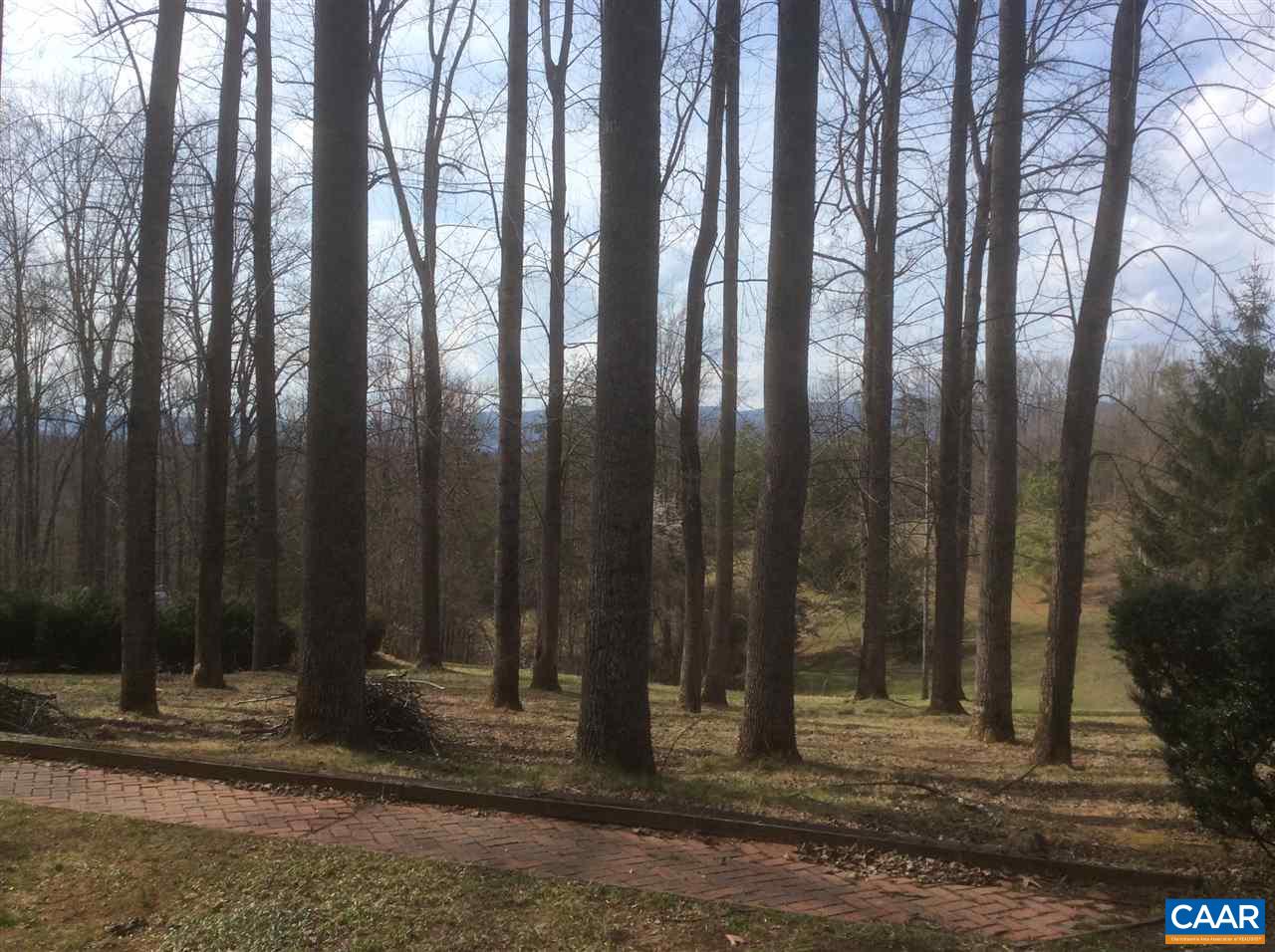 6536 Plank Road Afton, VA 22920 - Photo 27 of 29 Gallery Image 27